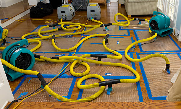 Professional Crawl Space Water Removal technician working in Whately, MA